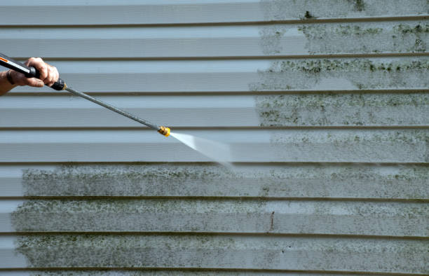Best Affordable Pressure Washing  in Hwatha, IA