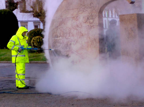 Best Best Pressure Washing Companies  in Hwatha, IA