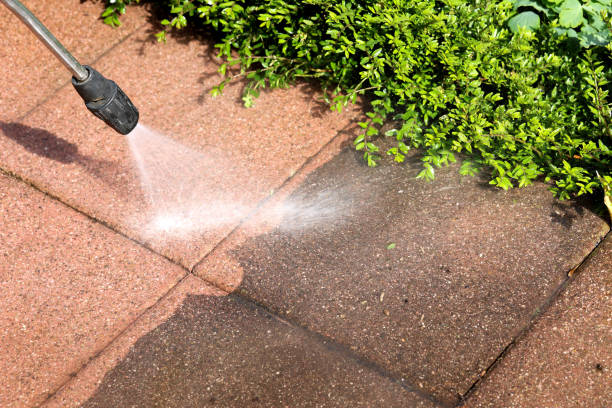 Best Exterior Home Cleaning  in Hwatha, IA